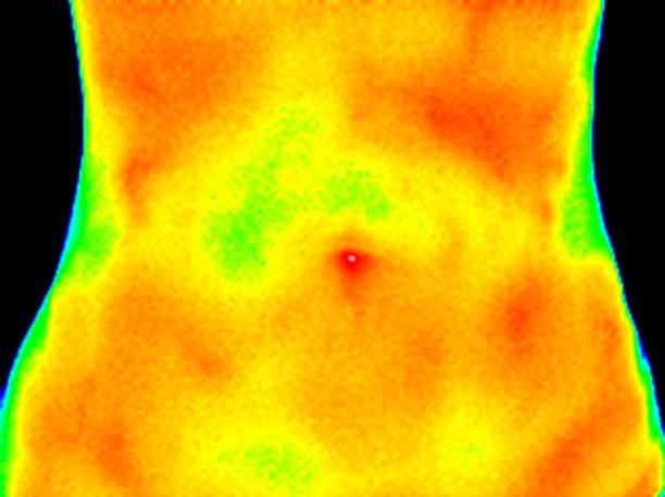 High R Value Thermal Envelope Quantification