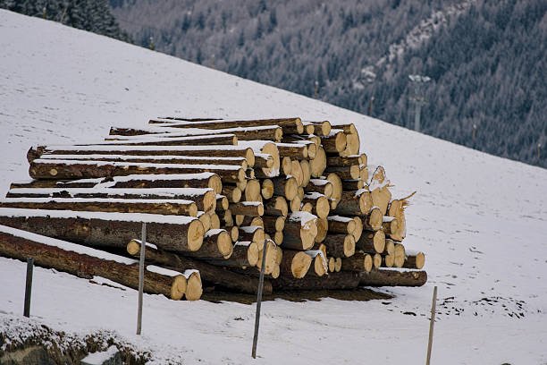 Mountain Region Snow Load Timber Engineering