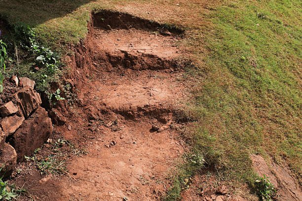 Egress Path Checks