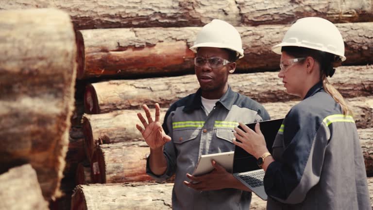 lumber takeoff services